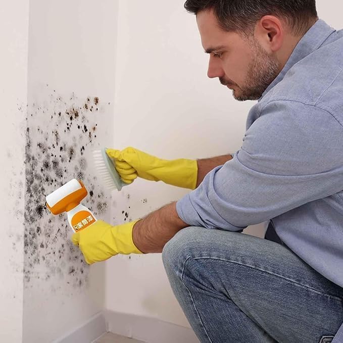 2-in-1 Wall Repair Paint Roller